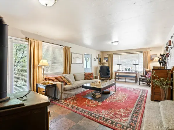 410 E Idaho Springs RD, Idaho Springs, CO 80452