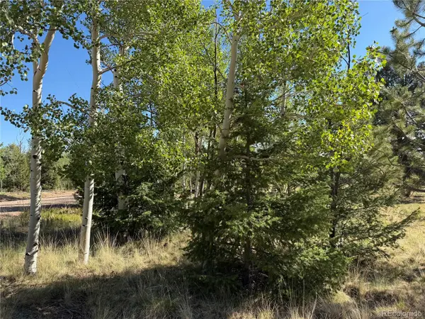 9430 Ranch Road RD, Hartsel, CO 80449