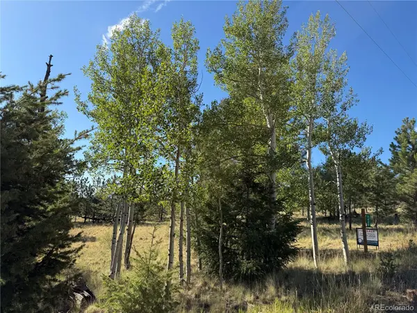 9430 Ranch Road RD, Hartsel, CO 80449