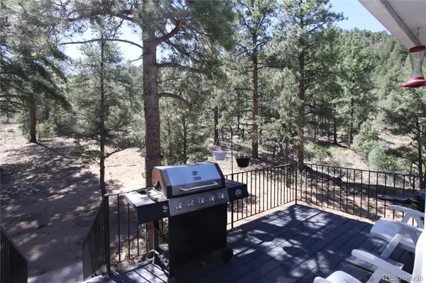 938 18th TRL, Cotopaxi, CO 81223