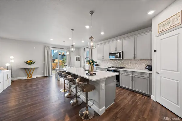 3807 Red Valley LN, Castle Rock, CO 80104