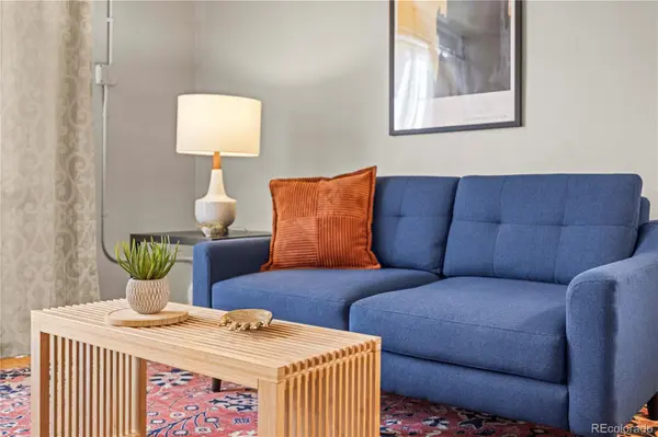 271 N Grant ST #303, Denver, CO 80203