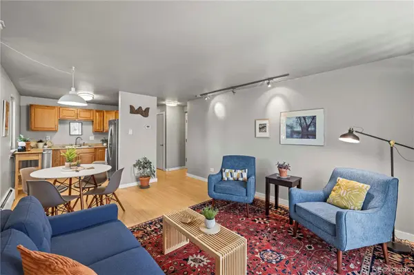 271 N Grant ST #303, Denver, CO 80203