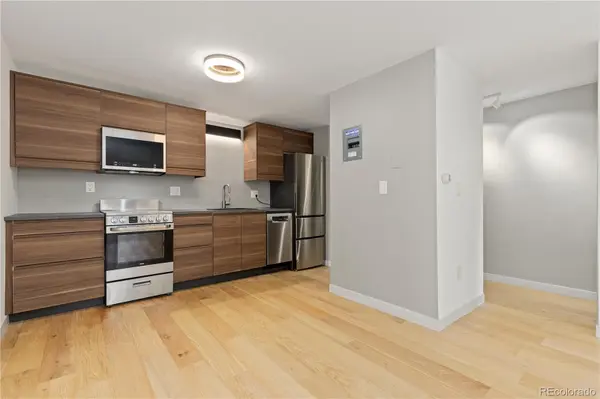 1008 N Corona ST #303, Denver, CO 80218