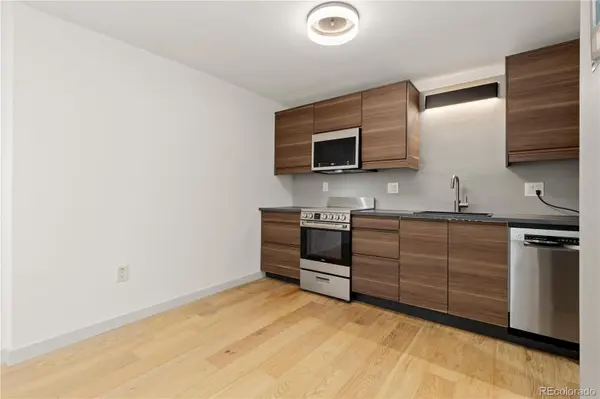 1008 N Corona ST #303, Denver, CO 80218