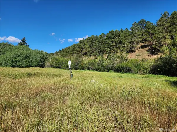 531 Caribou RD, Nederland, CO 80466