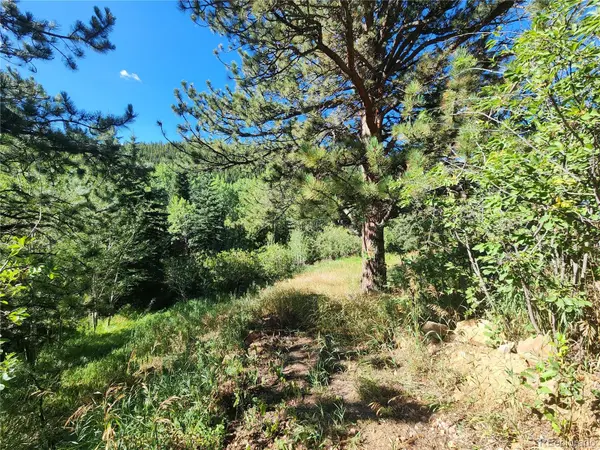 531 Caribou RD, Nederland, CO 80466