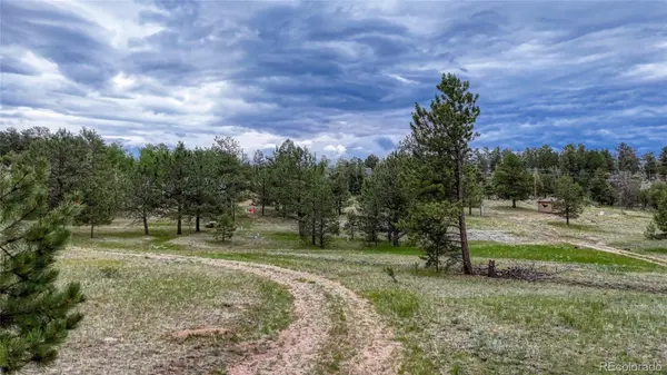 330 Arrowhead Dr DR, Florissant, CO 80816