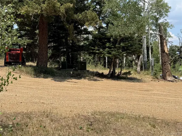 2357 Benton PL, Fort Garland, CO 81133