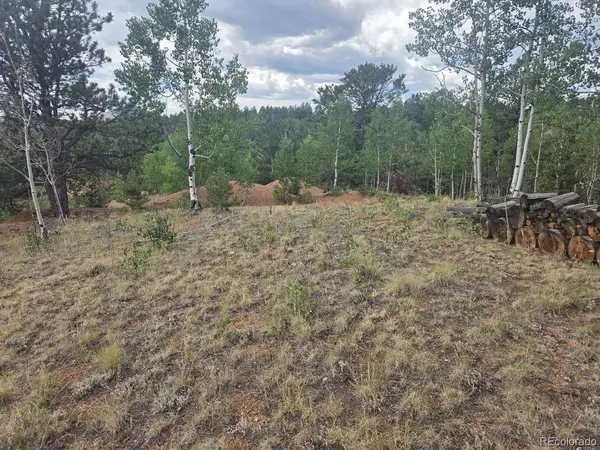 1124 Yorktown RD, Cripple Creek, CO 80813
