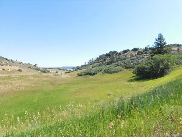 5905 Country Club DR, Larkspur, CO 80118