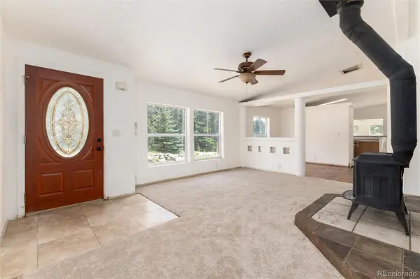 865 Silver Creek RD, Idaho Springs, CO 80452