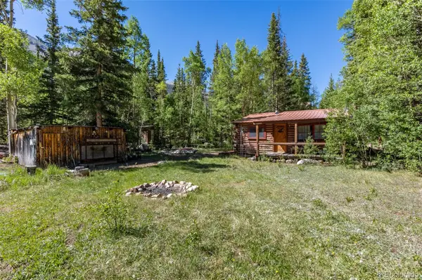 18990 Cr-294, Nathrop, CO 81236