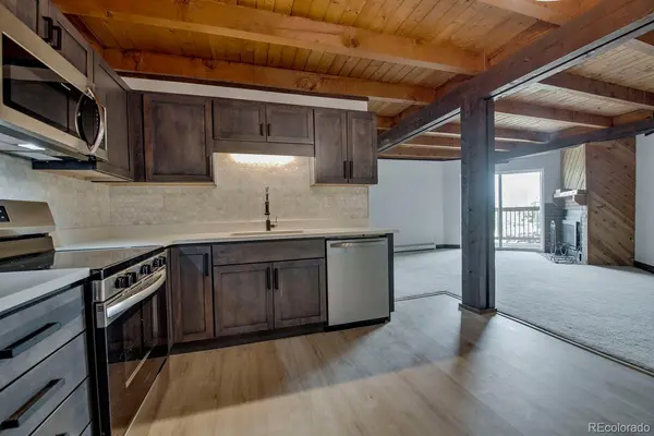 4400 Lodge Pole CIR #H204, Silverthorne, CO 80498