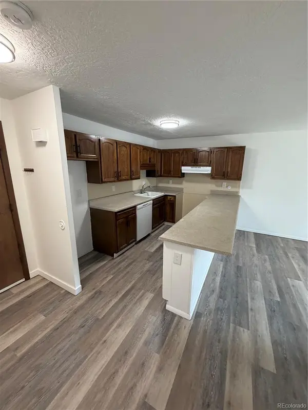 705 Straight Creek DR #102, Dillon, CO 80435
