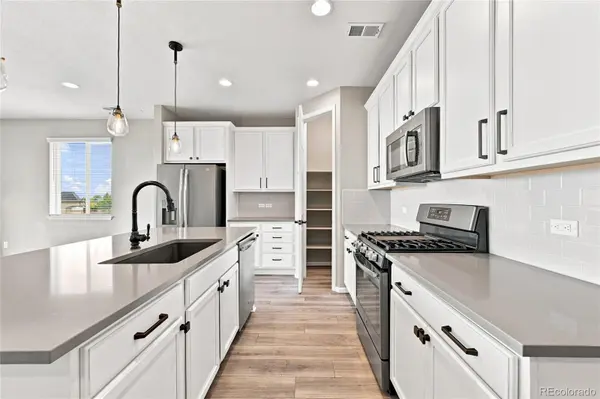 455 Blue Teal DR, Castle Rock, CO 80104