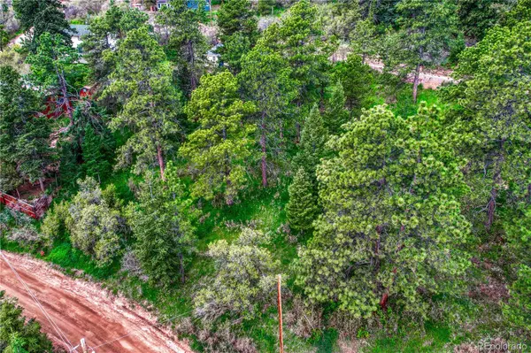 0 Buena Vista AVE, Palmer Lake, CO 80133