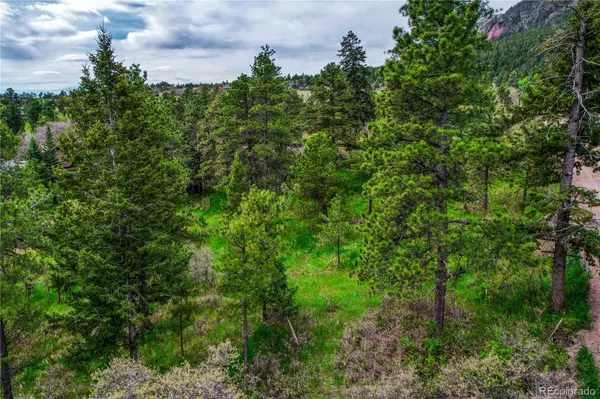 0 Buena Vista AVE, Palmer Lake, CO 80133
