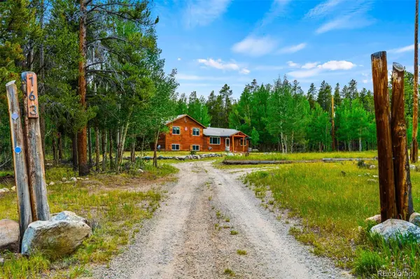163 Meadow View LN, Fairplay, CO 80440
