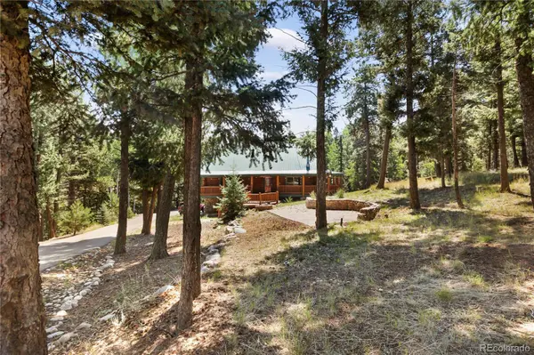 734 Kutsu Ridge RD, Florissant, CO 80816