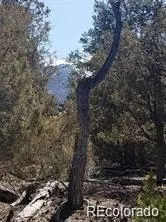 Tract 2 Costilla PL, Alamosa, CO 81101