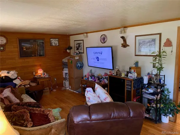493 Cascade CIR, Silverthorne, CO 80498