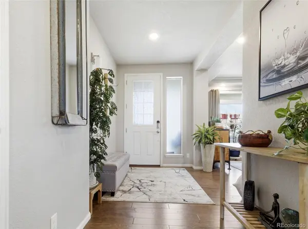 4976 Malaya ST, Denver, CO 80249