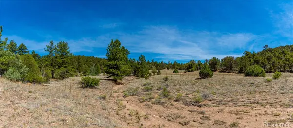 TBD L Arnold DR, Cotopaxi, CO 81223