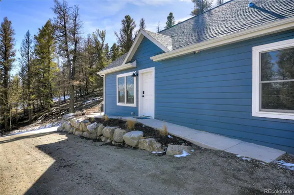 2755 Redhill RD, Fairplay, CO 80440