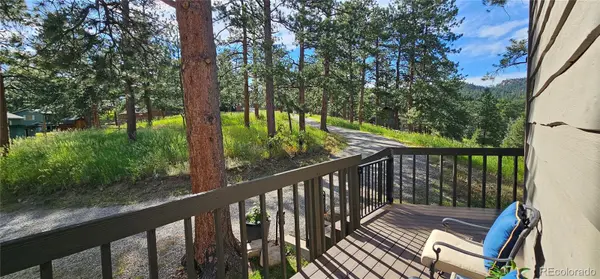 27901 Pine DR, Evergreen, CO 80439