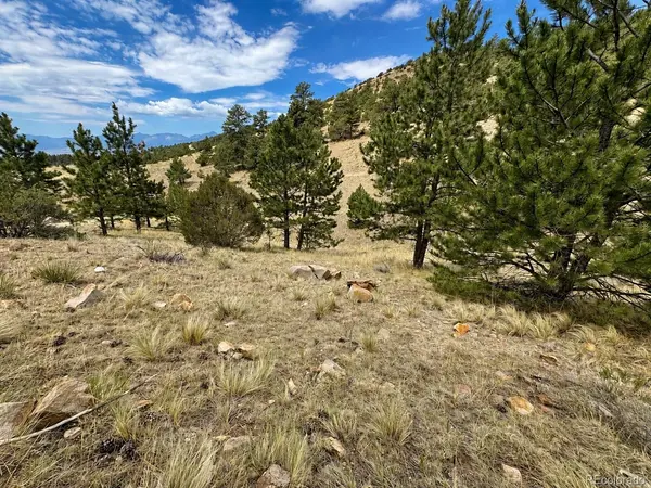 1054 Keepsake LOOP, Westcliffe, CO 81252