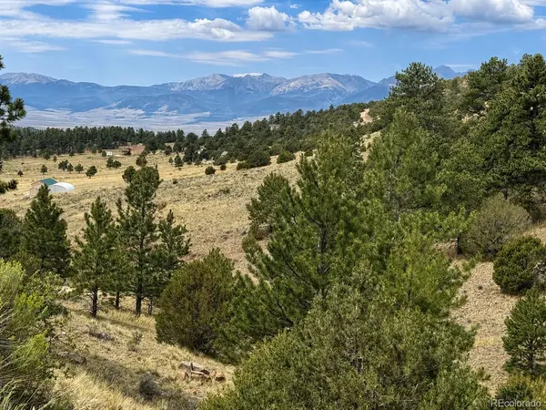 1054 Keepsake LOOP, Westcliffe, CO 81252
