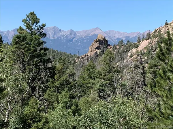 54 Oak DR, Cotopaxi, CO 81223