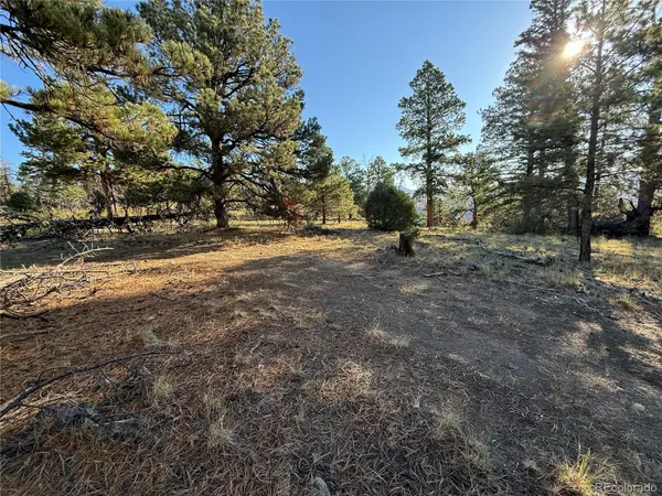 Lot 164 Tahmoush LN, Fort Garland, CO 81133