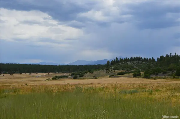 73 Parelli Institute DR, Pagosa Springs, CO 81147