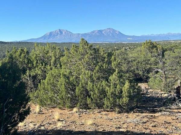 lot 12 City Ranch Property, Walsenburg, CO 81089