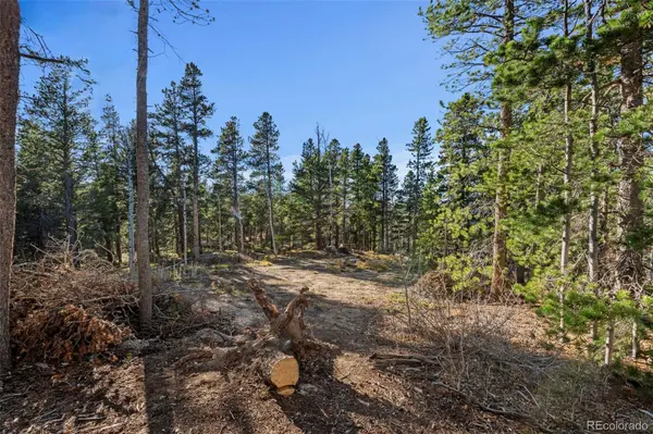 00 Severance Lodge Rd, Black Hawk, CO 80422