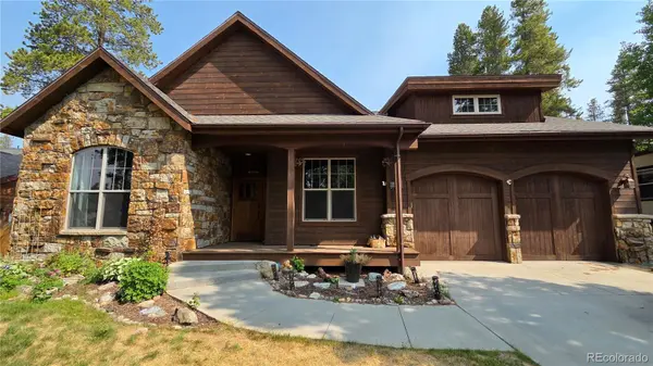 919 Copper DR, Leadville, CO 80461