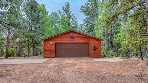5544 County Road 5 RD, Divide, CO 80814