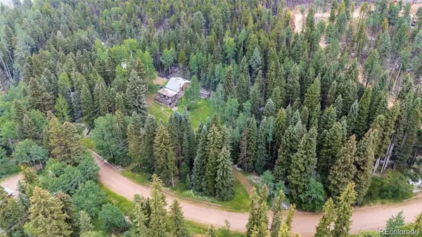 11173 S Barney Gulch RD, Conifer, CO 80433