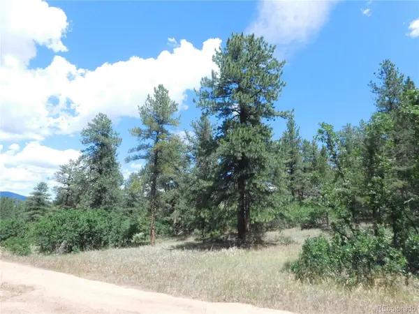 4977 Mohawk DR, Larkspur, CO 80118