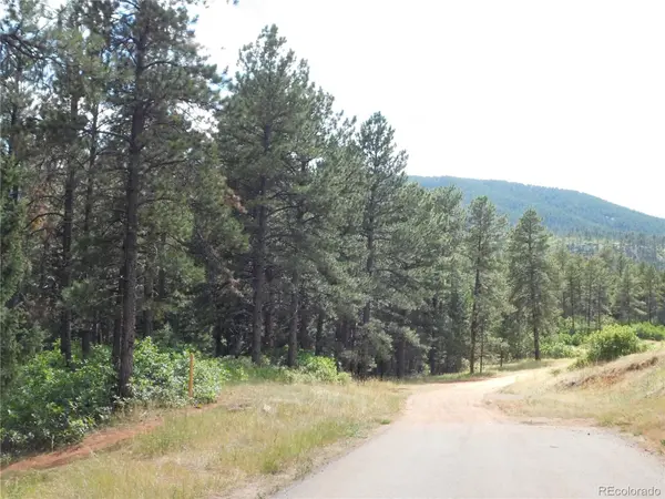 8169 Bannock DR, Larkspur, CO 80118