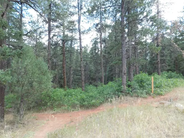 8169 Bannock DR, Larkspur, CO 80118