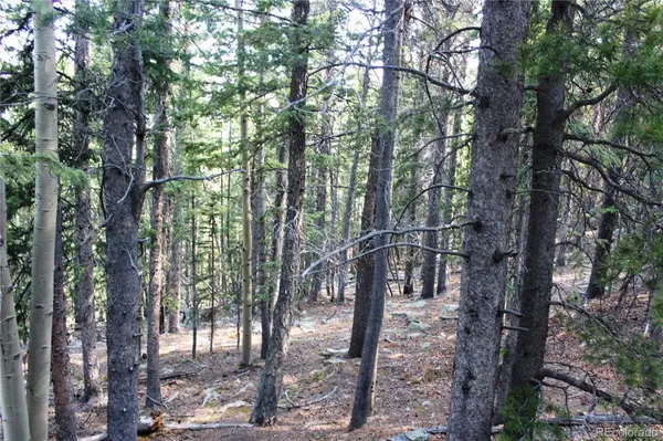 Lot 18 Hidden Wildernes RD, Idaho Springs, CO 80461