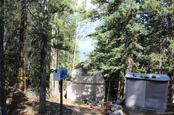 Lot 18 Hidden Wildernes RD, Idaho Springs, CO 80461