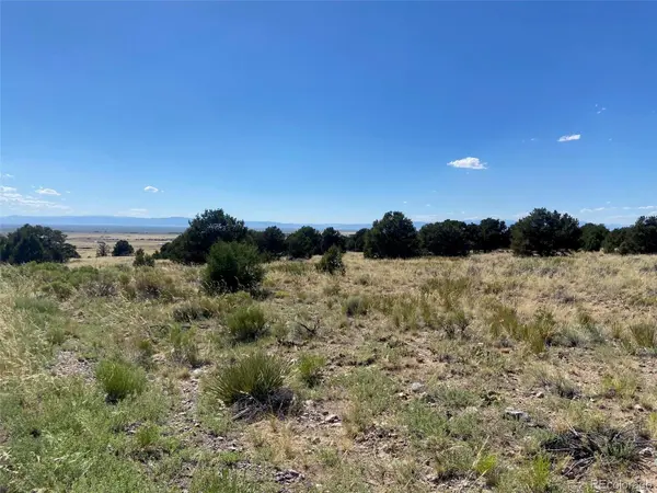 3233 Camino del Rey, Crestone, CO 81131