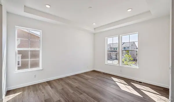 1667 Green Fern PT, Castle Rock, CO 80104