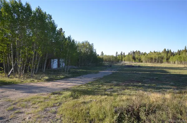 484 Wheat Way WAY, Fairplay, CO 80440