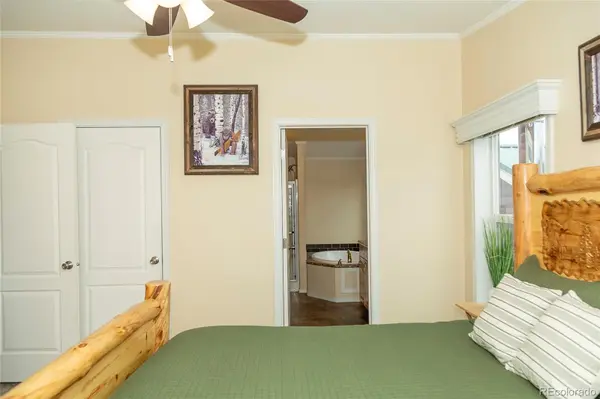 467 Apex DR, Creede, CO 81130