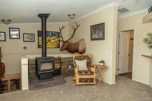 467 Apex DR, Creede, CO 81130